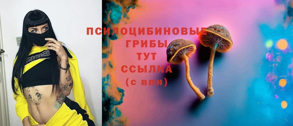 кокс Вяземский