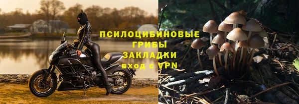 марки lsd Горнозаводск