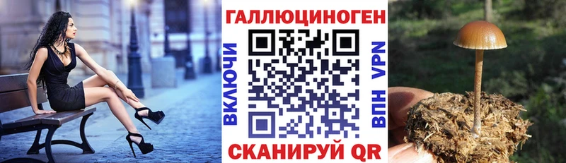 Галлюциногенные грибы GOLDEN TEACHER Галич